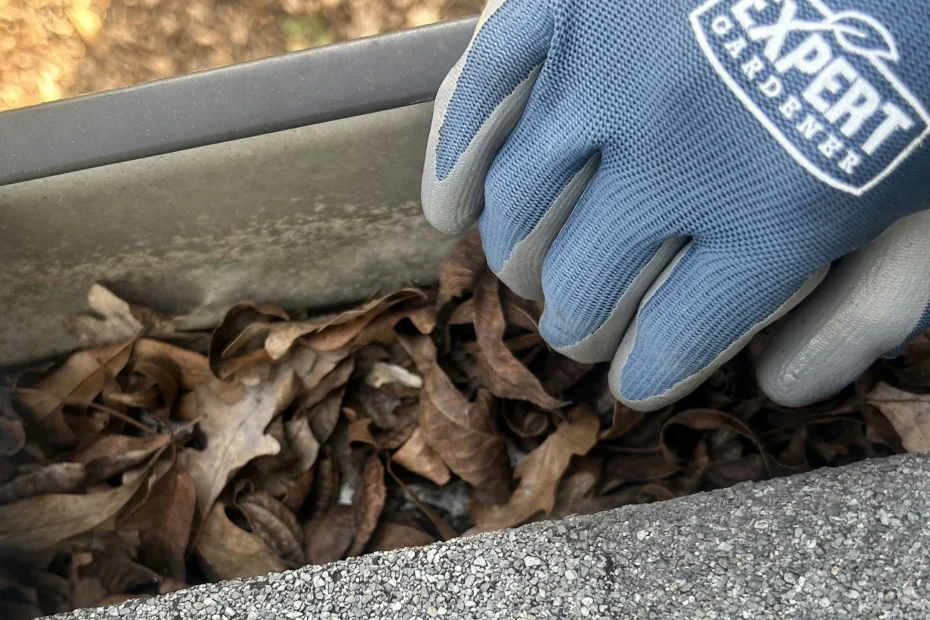 Gutter Cleaning Irondale