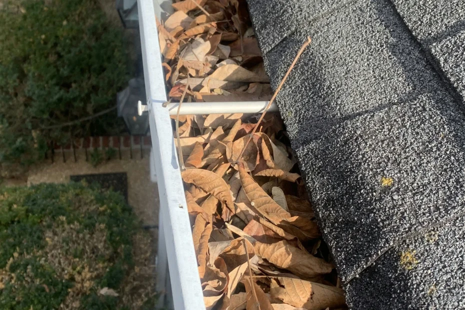 Gutter Cleaning Irondale